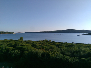 Ausblick vom Balkon